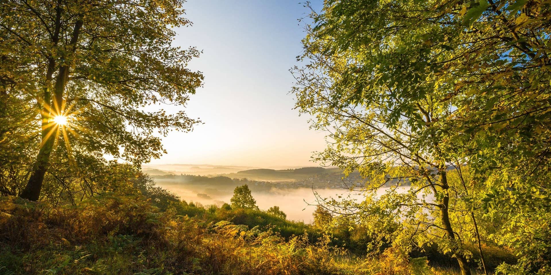 Herbstliche Wälder in der Vulkaneifel