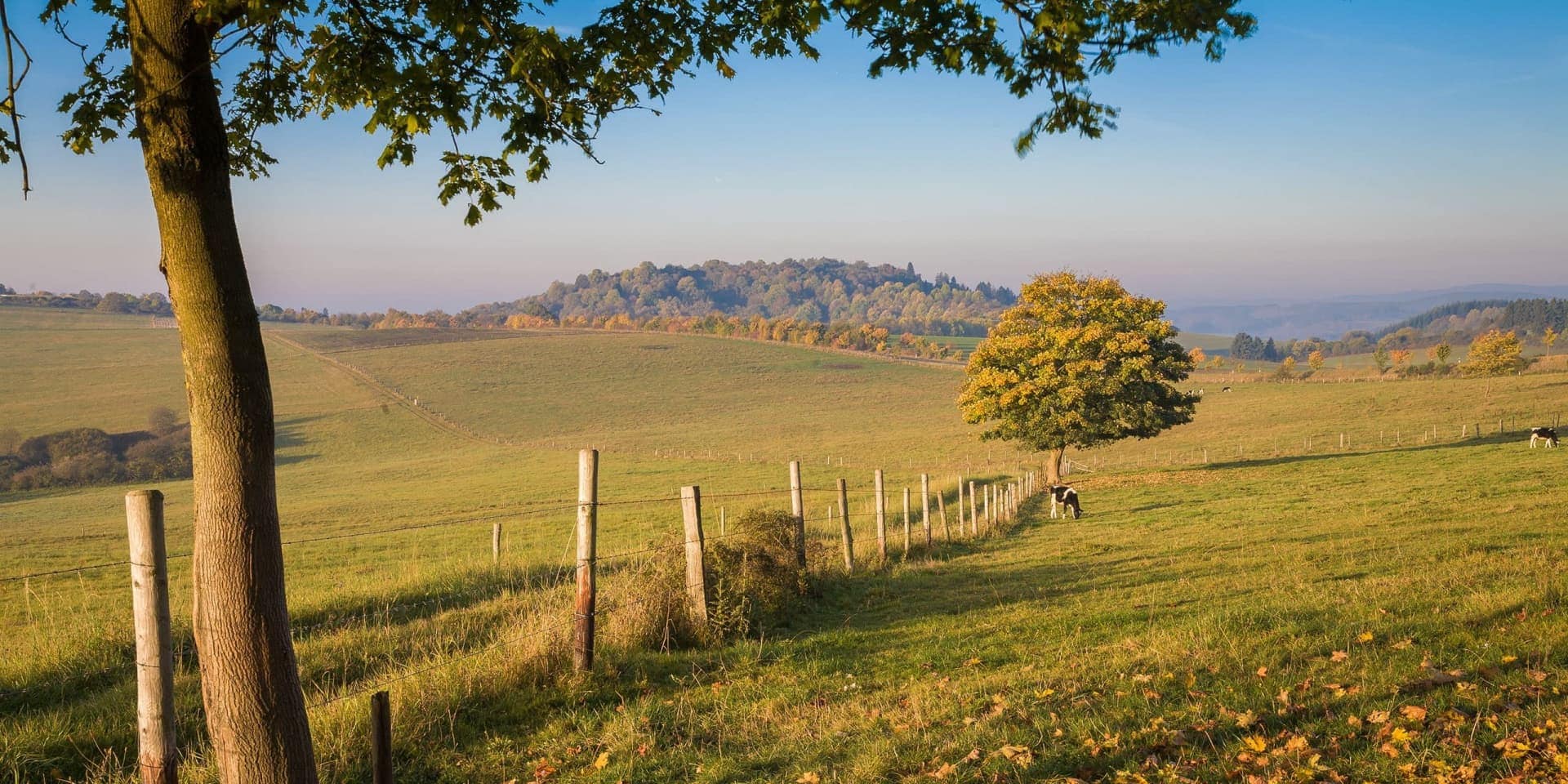Kulinarischer Herbst mit Blick auf Maare