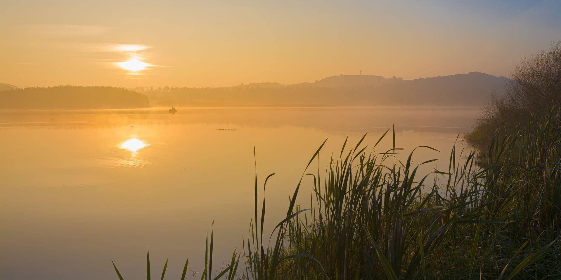 Herbst-Nebelschwaden im Gesundland Vulkaneifel