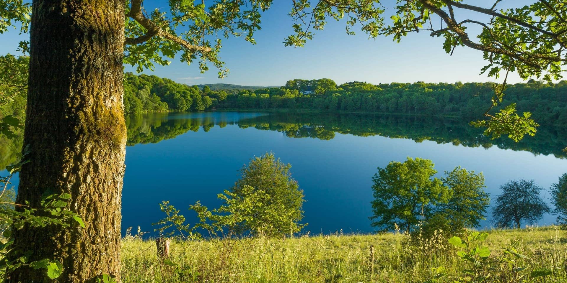Weinfelder Maar im Frühjahr